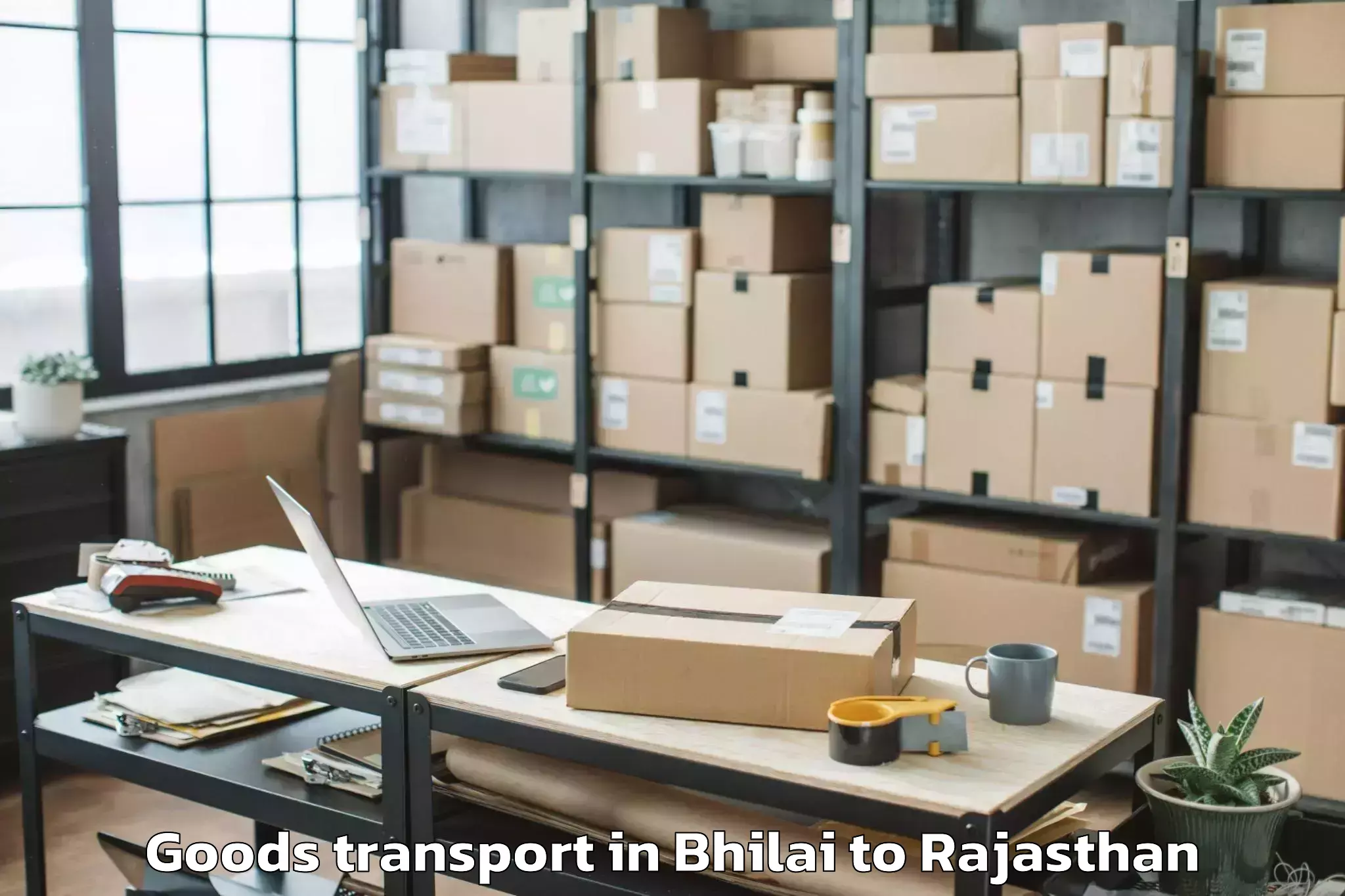 Book Your Bhilai to Shrimadhopur Goods Transport Today